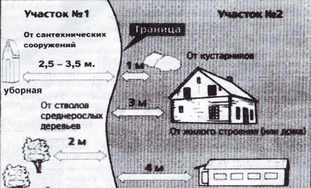 Опубликованное фото