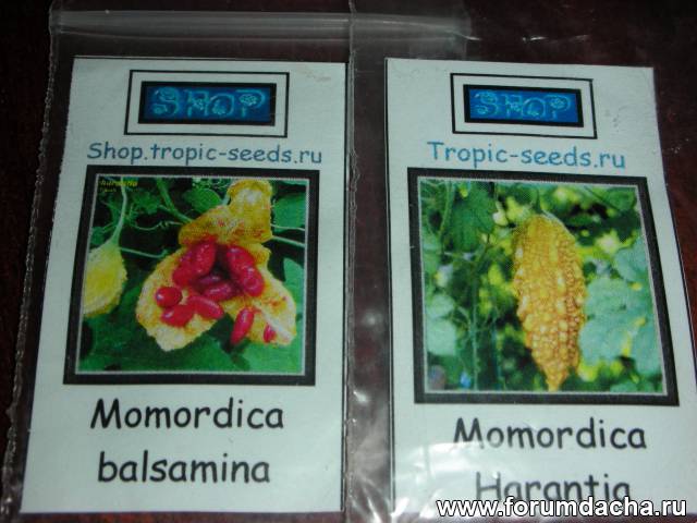 Семена момордики