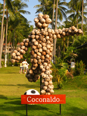 Кокональдо, Человек из кокосов